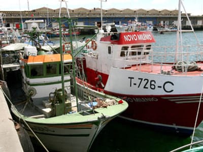 Pescadores de Esposende foram ao mar - TVI