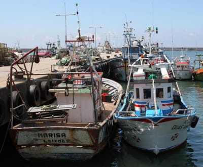 Pescadores despedidos por causa da greve - TVI