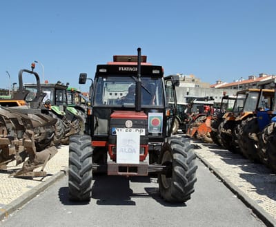 Agricultores protestam em Braga - TVI