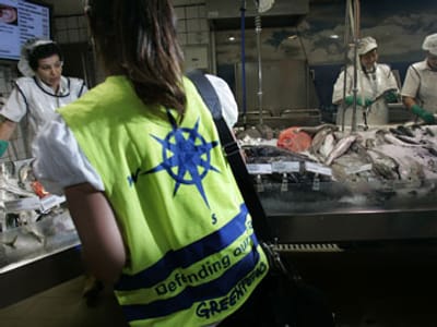 Pesca industrial contra argumentos da Greenpeace - TVI