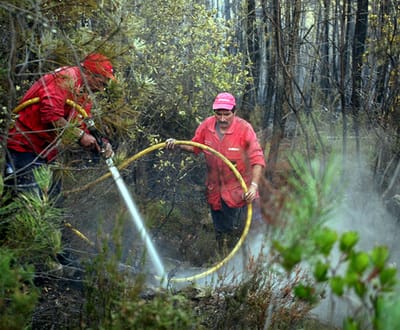 Incêndio de Oleiros obriga a evacuar habitações - TVI