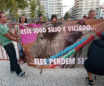 Manifestação anti-touradas no Campo Pequeno - TVI