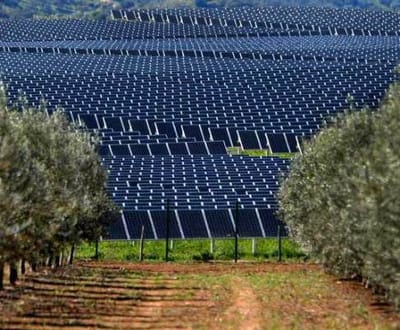 Investir nas renováveis para poupar no ambiente e nas contas - TVI