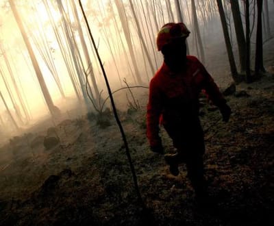 Sapador florestal lançava incêndios na Serra da Estrela - TVI