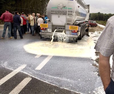 Produtores criticam destruição de leite português na Galiza - TVI
