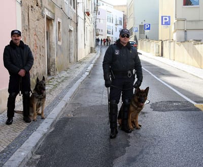 Lisboa: 41 detenções em 24 horas - TVI