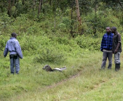 ONG revela massacre dramático no Congo em 2009 - TVI
