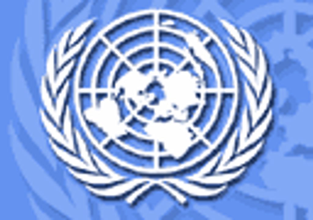 Organizacao das Nacoes Unidas (ONU)