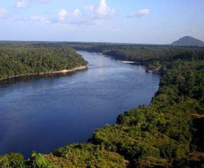 Fogo devasta Amazónia - TVI