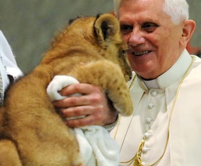 Papa brinca com leão (fotos) - TVI