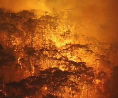 Austrália: bombeiros combatem incêndios de mil quilómetros - TVI