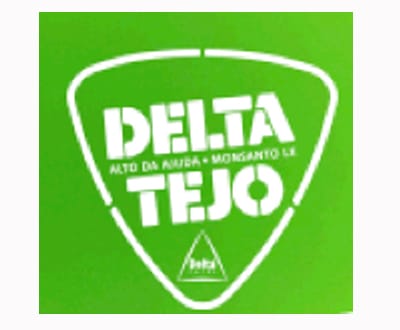 Festival Delta Tejo: batucada é com os Monobloco - TVI