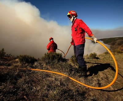 Incêndios: cerca de 300 bombeiros no terreno - TVI