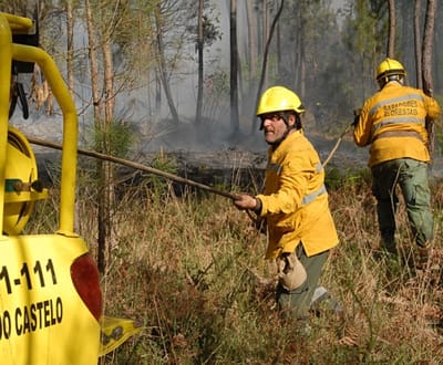 Já arderam 1100 hectares de zonas protegidas - TVI