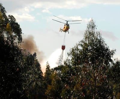 Fogo na Serra do Ameal combatido por 131 elementos - TVI