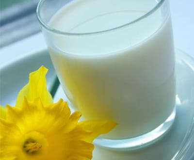 Preço do leite pode vir a estabilizar com ajuda de Bruxelas - TVI