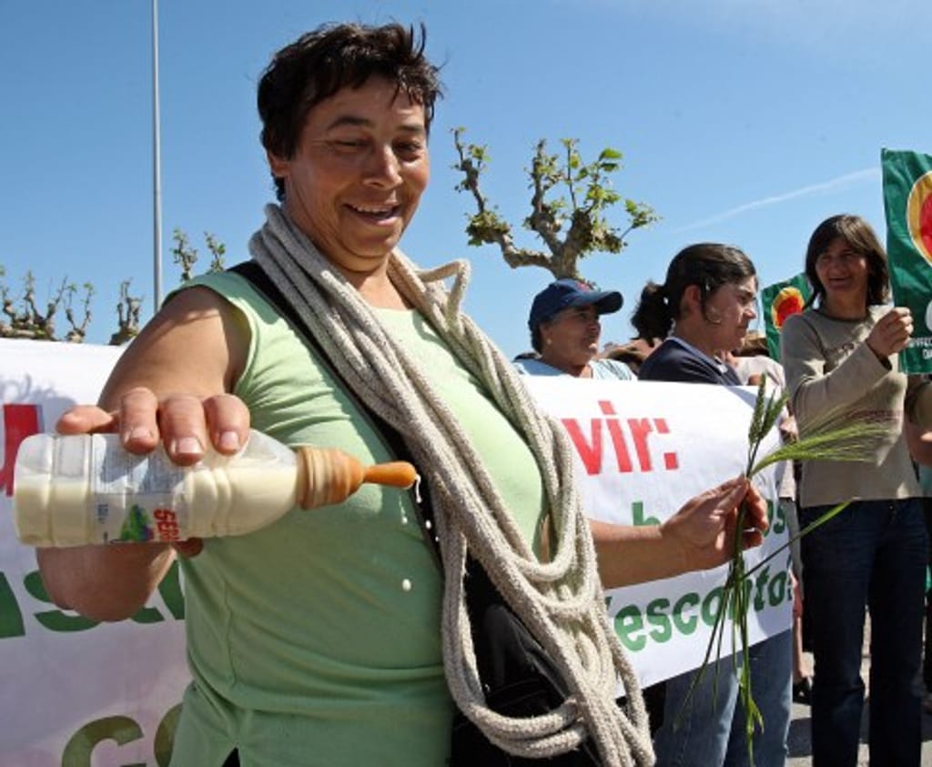 Manifestação de produtores de leite. Tocha/Portugal