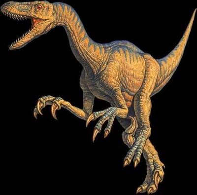 Descobertas novas espécies de dinossauros - TVI