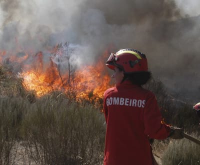 Dois fogos activos em Portugal - TVI