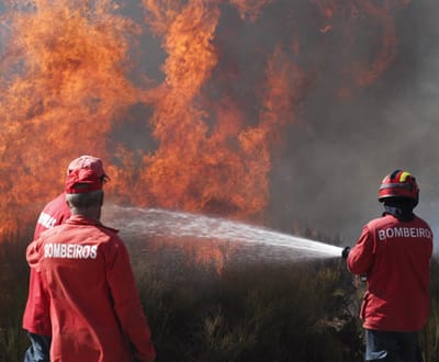 Incêndios consumiram quase 20 mil hectares este ano - TVI