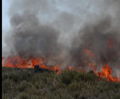 Muitos incêndios esperados neste Verão - TVI