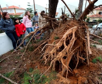 Mau tempo provoca estragos em Torres Vedras e em várias localidades - TVI