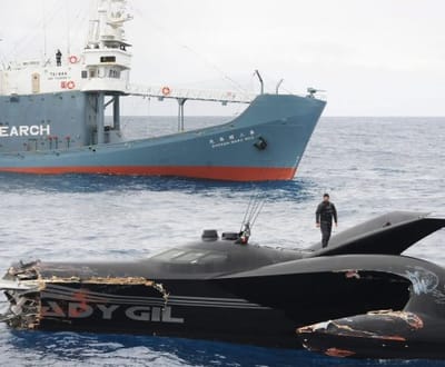 Baleias: pescadores nipónicos atacam navio de activistas - TVI