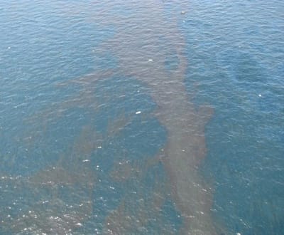 Desastre ambiental adensa-se no Golfo do México - TVI