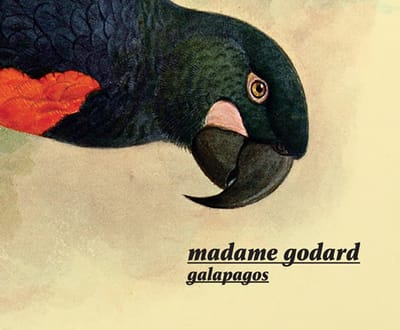 Entrevista Madame Godard: viagem pelo mundo em onze paragens - TVI