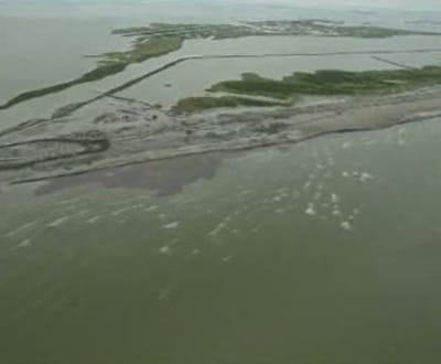 Maré negra afecta todos os estados americanos do Golfo do México - TVI