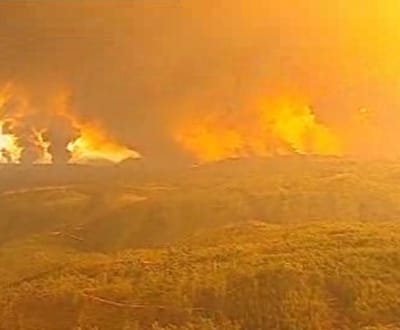 Mais de 300 fogos registados este domingo - TVI