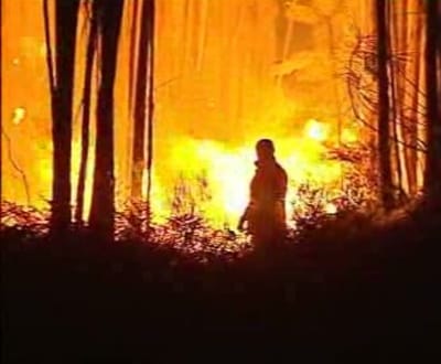 Sete incêndios mobilizam mais de 340 bombeiros - TVI