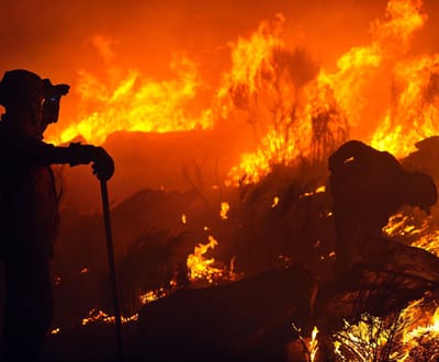 Incendiário apanhado a pegar fogo em Estarreja - TVI