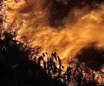 Ministro vê incêndios como «verdadeiro teatro de guerra» - TVI