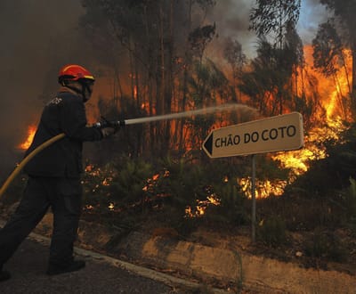 Quase 400 bombeiros combatem fogo em Seia - TVI