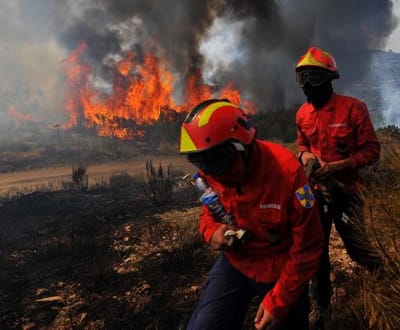 Incêndio ameaça Mata Nacional do Reboredo - TVI