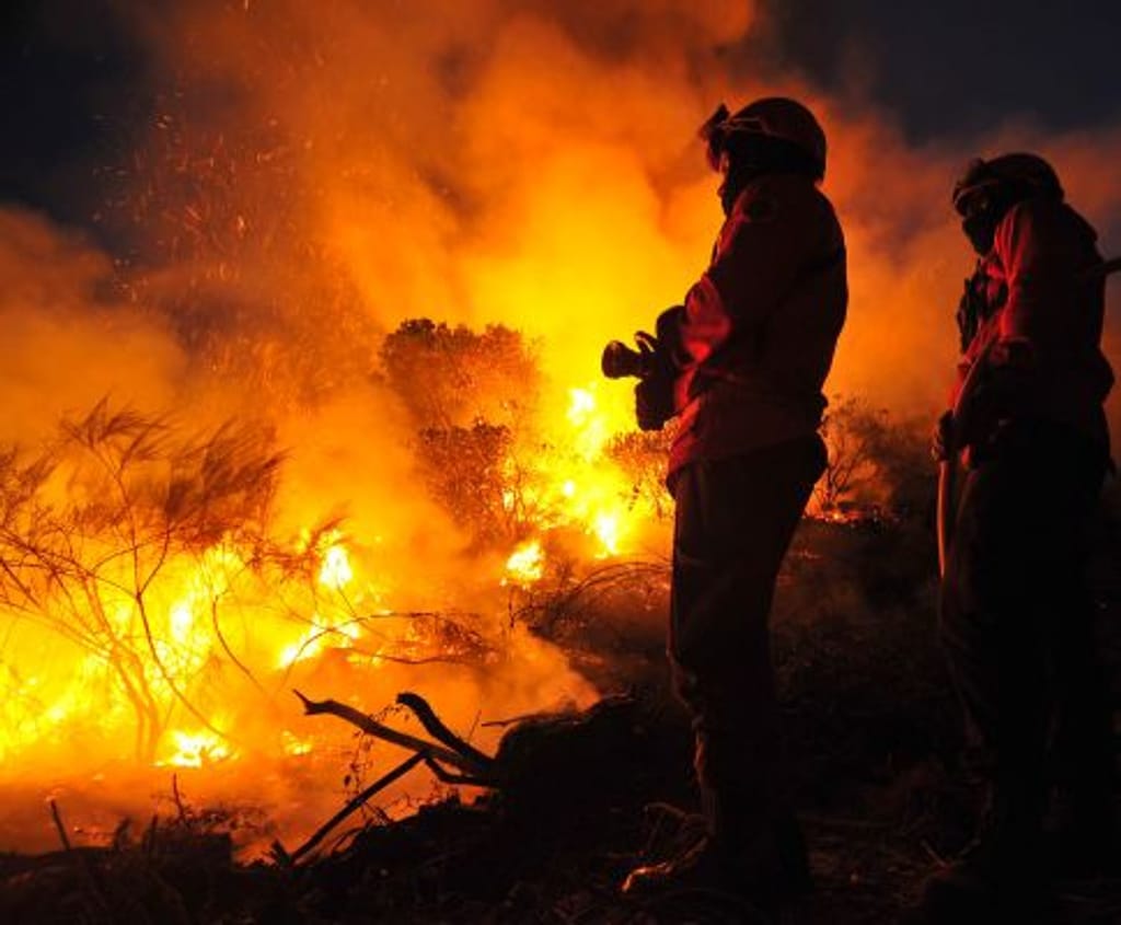 Incêndio em S. Pedro do Sul (LUSA)