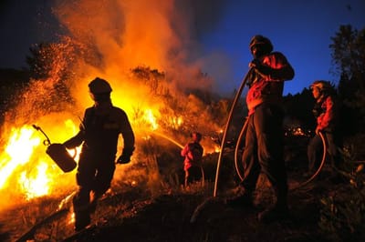 «Os energúmenos que são incendiários de profissão têm que ser presos» - TVI