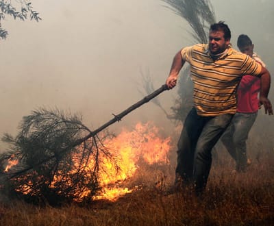 Valongo: 114 bombeiros combatem incêndio florestal - TVI