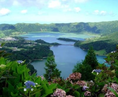Açores: alteração de clima põe em risco agricultura - TVI