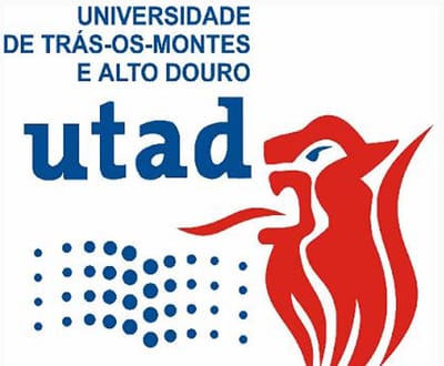 Universidade de Vila Real lança site que pode prever incêndios - TVI