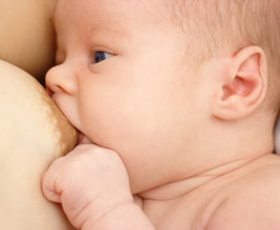 Leites em pó para bebés podem conter bactérias nocivas - TVI