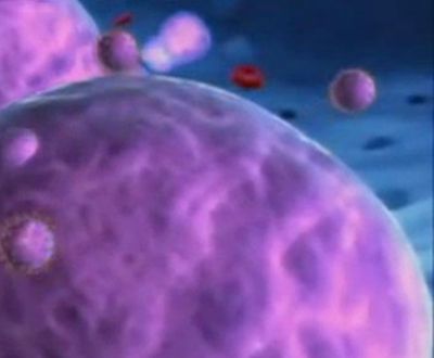 Vírus da sida está a tornar-se menos infeccioso - TVI