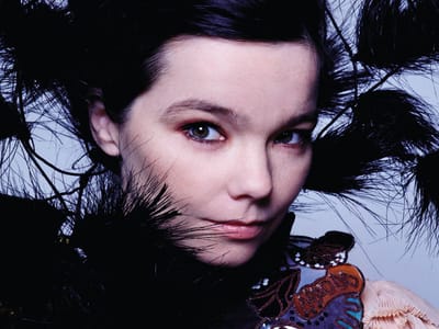 Björk confirmada para o Primavera Sound no Porto - TVI