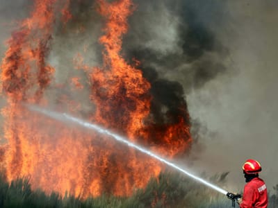 150 bombeiros combatem fogo em Montemor-o-Velho - TVI
