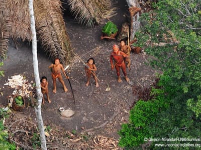 ONG alerta: índios isolados na Amazónia em perigo - TVI
