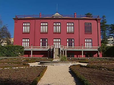 Porto: casa Andresen inaugurada com «A evolução de Darwin» - TVI