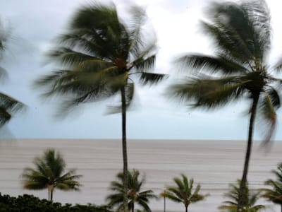 Austrália manda evacuar Queensland devido a ciclone - TVI