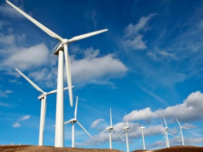 GOP: Portugal quer projetos conjuntos de renováveis com outros países - TVI