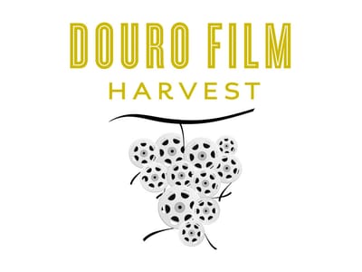 Douro Film Harvest sem estrelas aposta na gastronomia e enologia - TVI